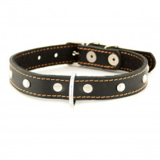 CoLLar Leather collar with rivets and padding polyester (black)