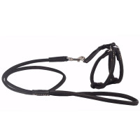 CoLLar SOFT Round leather harness with leash for dogs and cats (black)