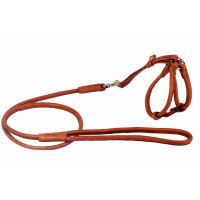 CoLLar SOFT Round leather harness with leash for dogs and cats (brown)