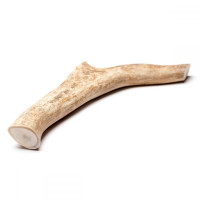 DogsRogs Deer Antlers for Dogs Soft