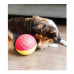 Outward Hound Nina Ottosson Treat Tumble Dog Toy Ball Puzzle