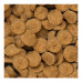 Oven-Baked Tradition Adult Large Breed Lamb Dry food for adult large breeds with lamb