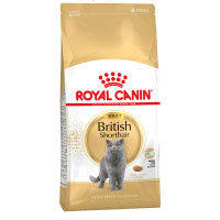 Royal Canin Adult British Shorthair