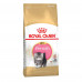 Royal Canin Persian Kitten for kittens of Persian breeds from 2 months to 12 months