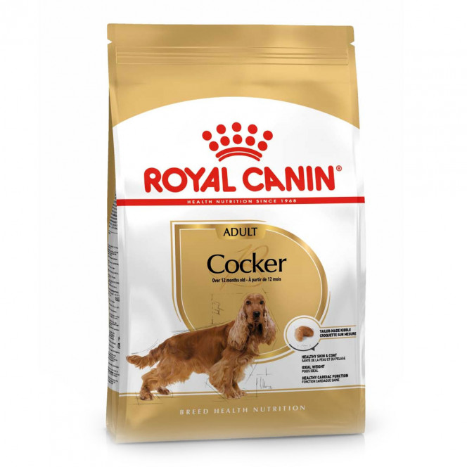 Dry food Royal Canin Cocker Adult for dogs of breed Cocker Spaniel