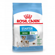 Royal Canin Mini Starter dry food for small breed dogs during pregnancy and lactation