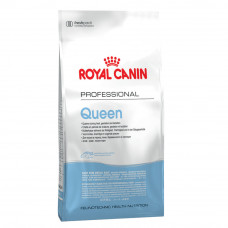 Royal Canin Queen Food for cats in estrus, pregnancy and lactation