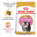 Royal Canin Persian Kitten for kittens of Persian breeds from 2 months to 12 months