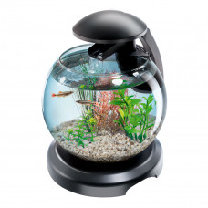 Tetra Cascade Globe Round Fish Tank