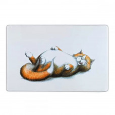 Trixie 24475 Thick Cat Bowl Mat