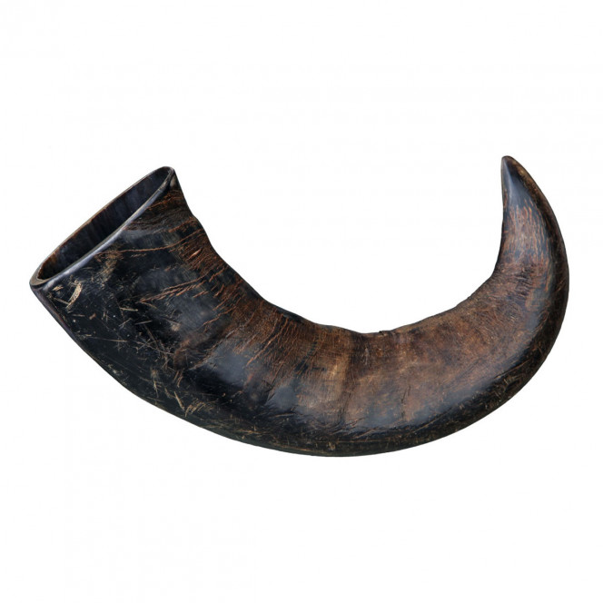 Treats for dogs Trixie 27743 Buffalo horn