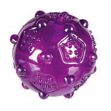 Trixie Dog toy rubber ball with squeaker and spikes