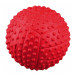 Toy for dogs Trixie Spike ball with squeaker